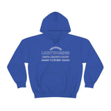 Lightworker hoodie 10 of cups